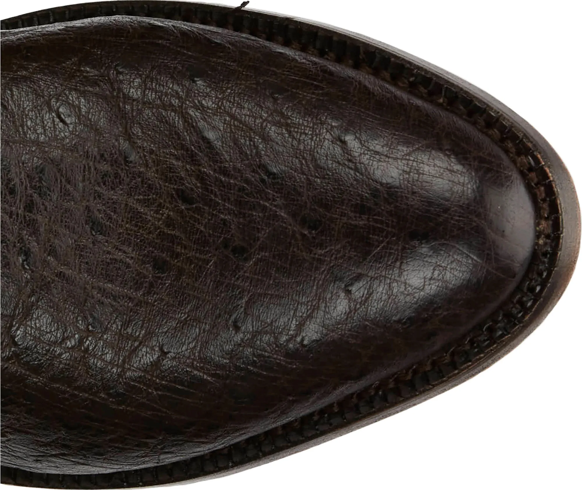Ray 13" Smooth Ostrich 